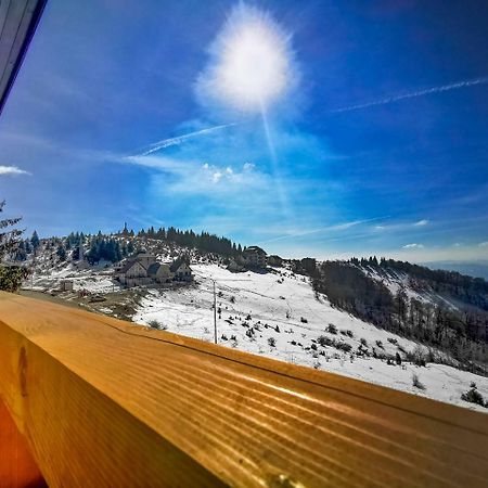 Kopaonik -Beautiful View Apartment- Skiing المظهر الخارجي الصورة