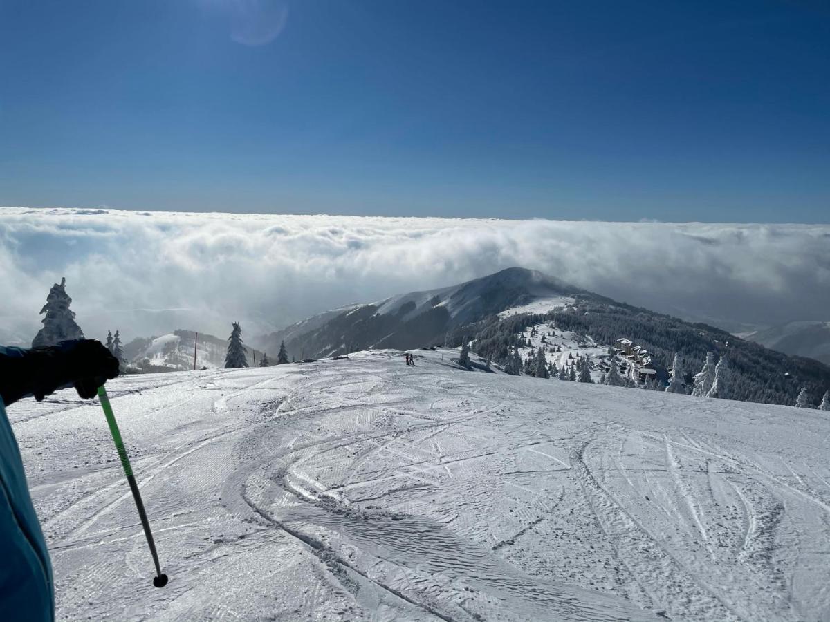 Kopaonik -Beautiful View Apartment- Skiing المظهر الخارجي الصورة