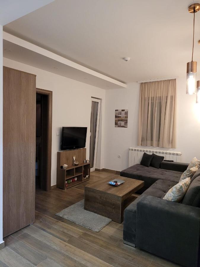 Kopaonik -Beautiful View Apartment- Skiing المظهر الخارجي الصورة