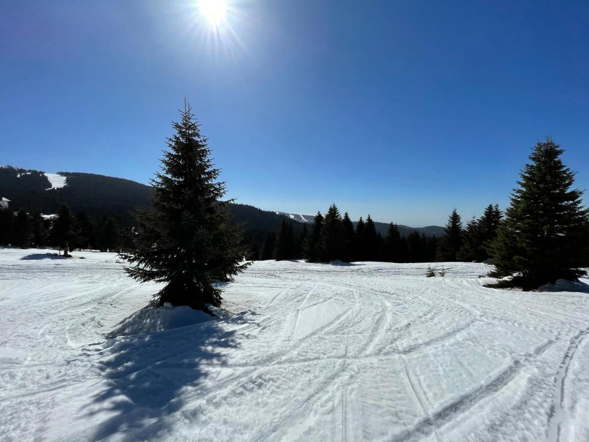Kopaonik -Beautiful View Apartment- Skiing المظهر الخارجي الصورة